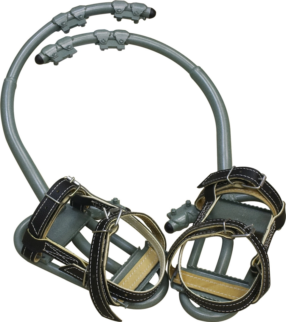 Лазы монтерские